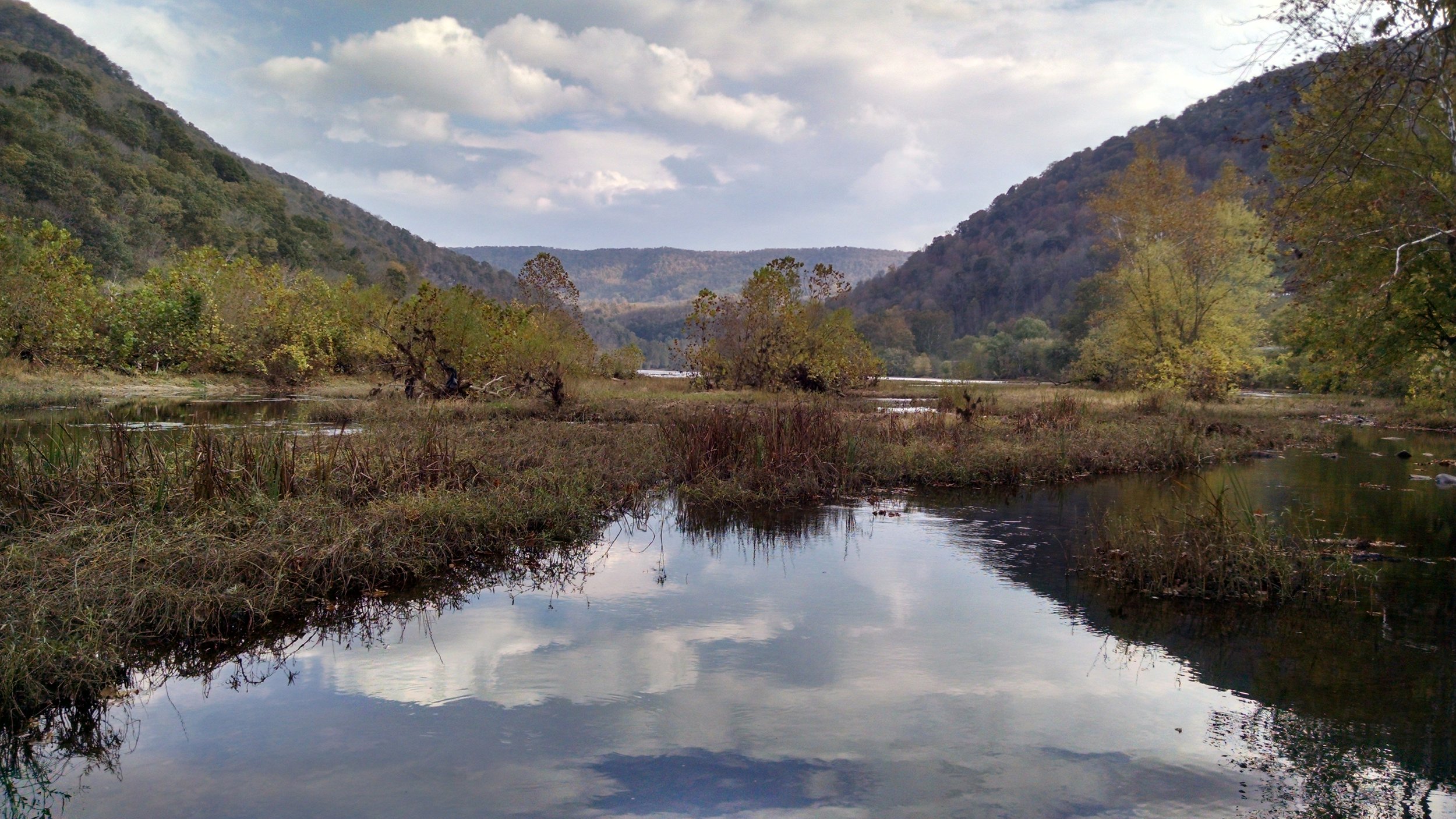 Working to identify and repair areas of ecological concern