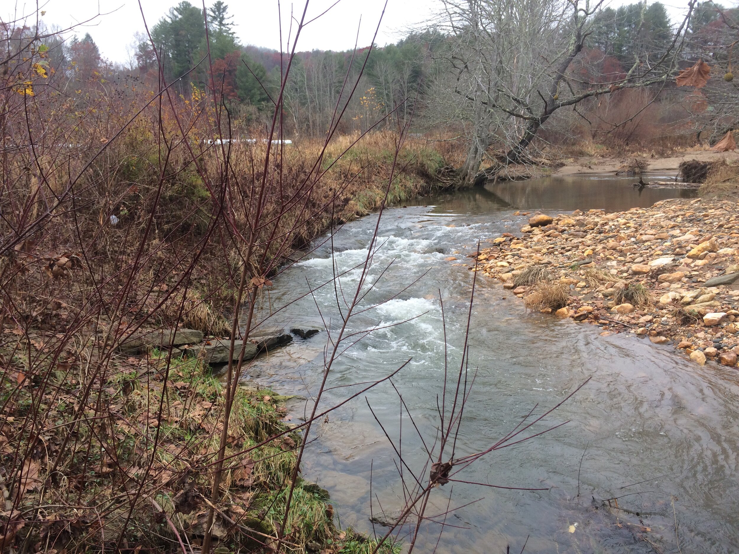 Old Field’s Creek Conservation Easement