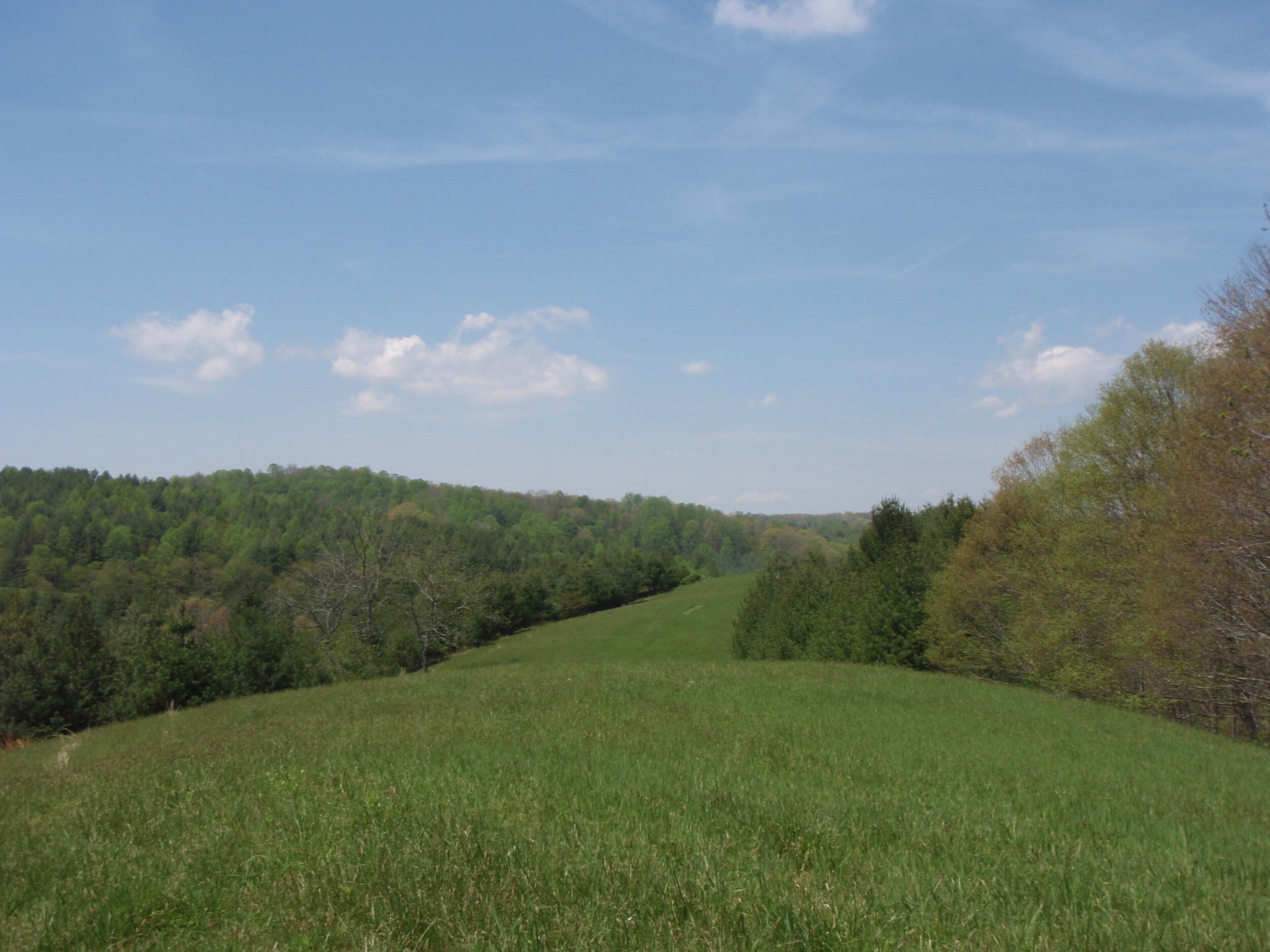 New River–Alleghany Access Conservation Easement