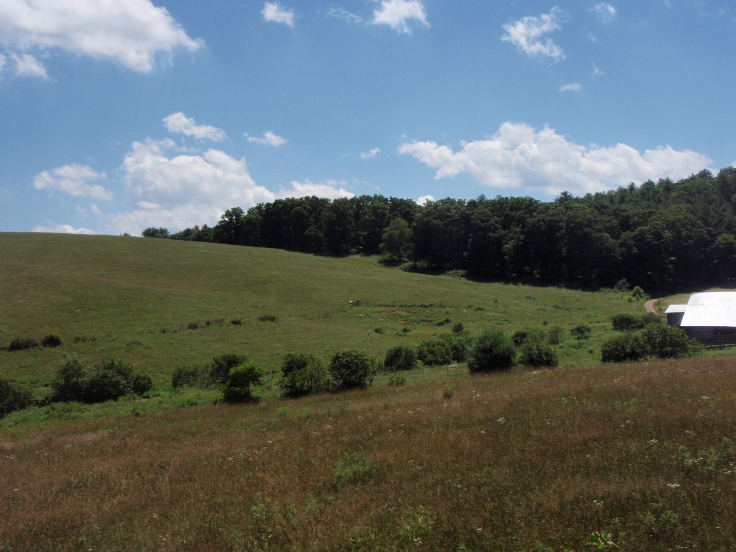 Gentry Conservation Easement
