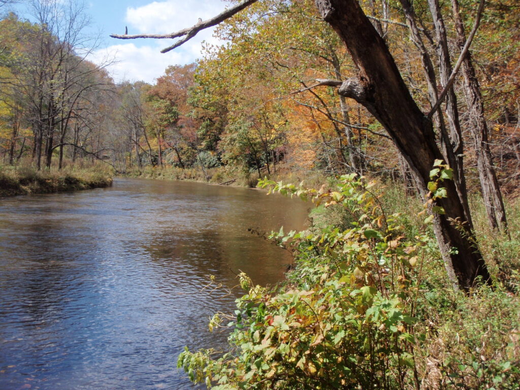 5 P’s Conservation Easement - New River Conservancy