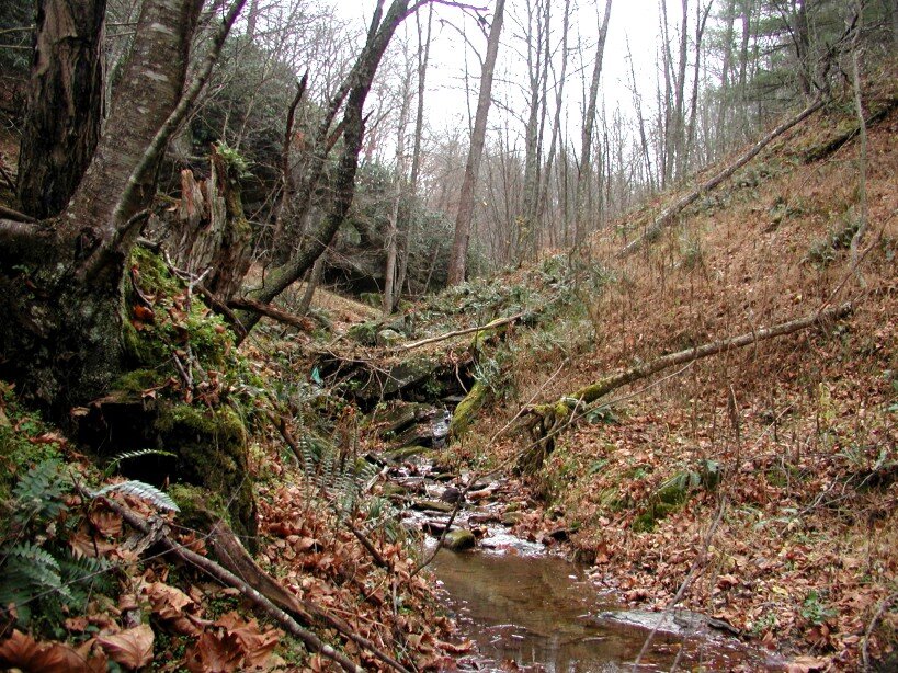 2006 New River-Alleghany Access Conservation Easement