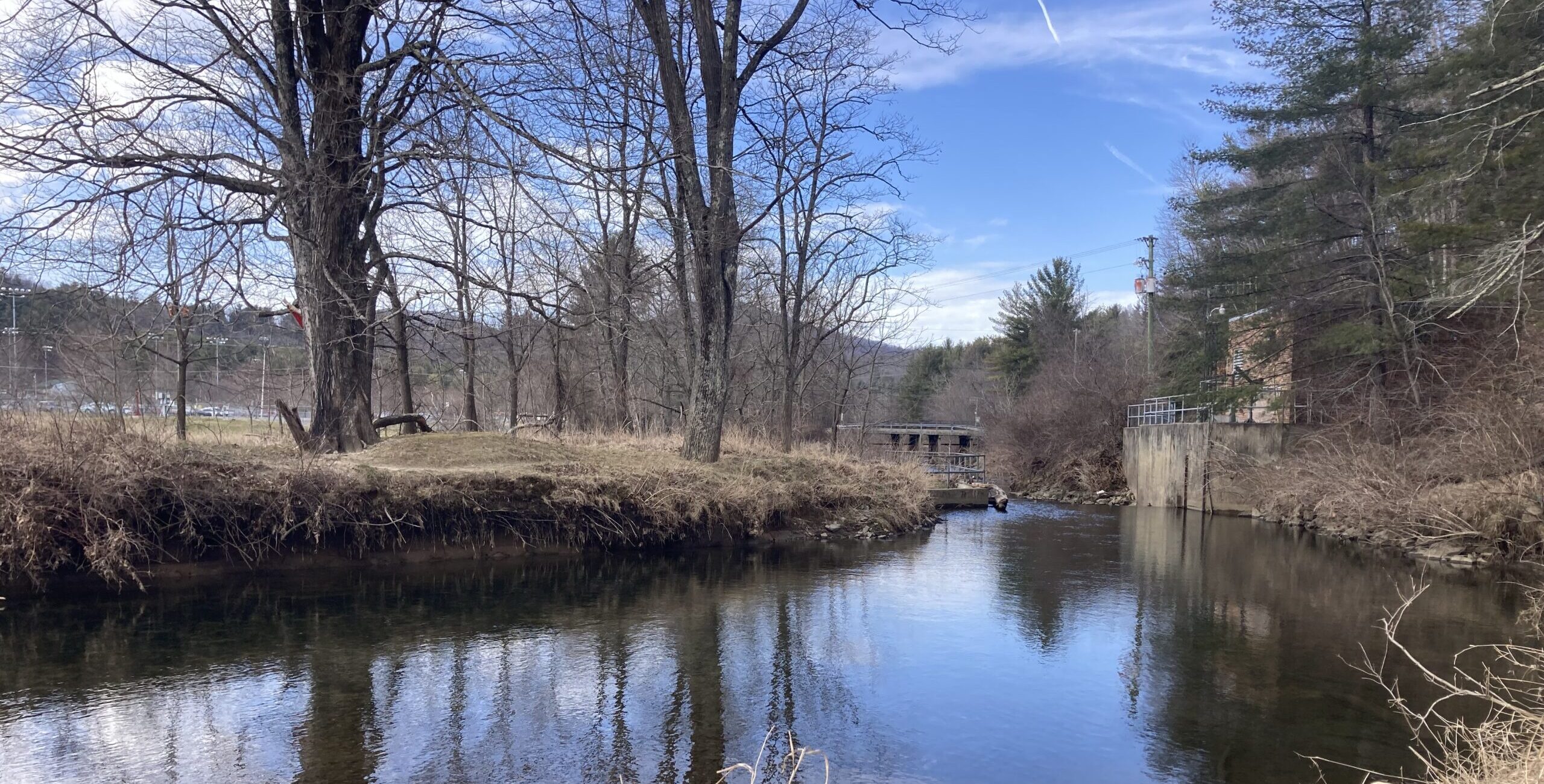 New River Conservancy awarded NC Land & Water Fund Grant for restoration work along the New River in Boone, NC