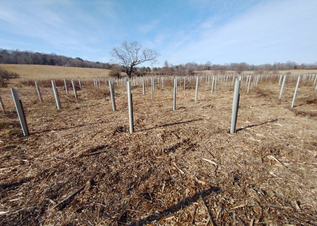 Update on the Stroubles Creek, VA Riparian Reforestation Project - New ...