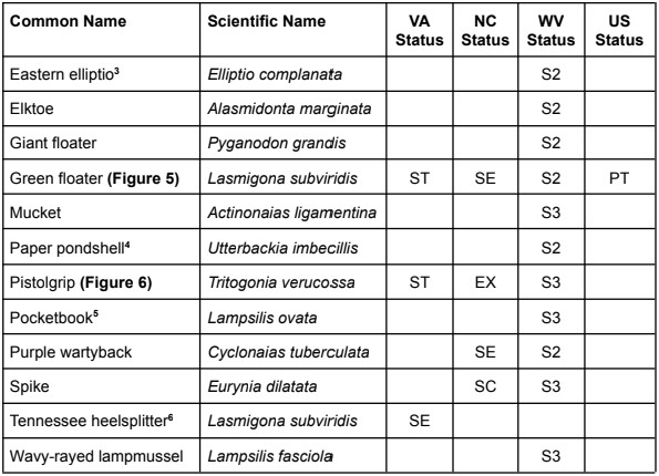 %title - Screenshot 2025 11 03 114225