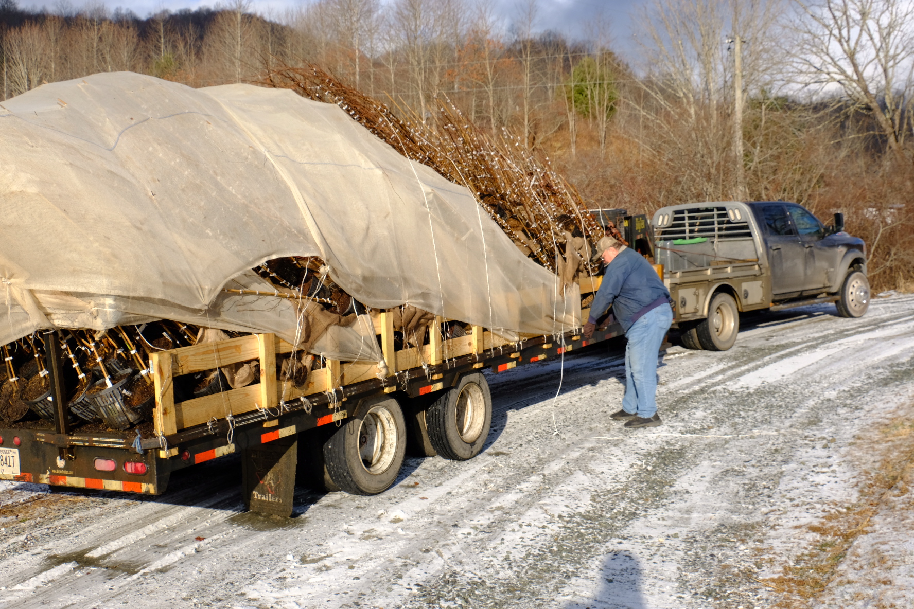 New River Conservancy receives trees from Trout Unlimited