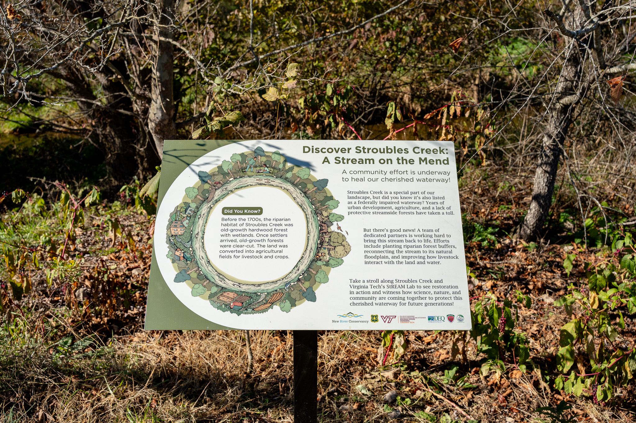 Signage on Huckleberry Trail highlights restoration work on Stroubles Creek