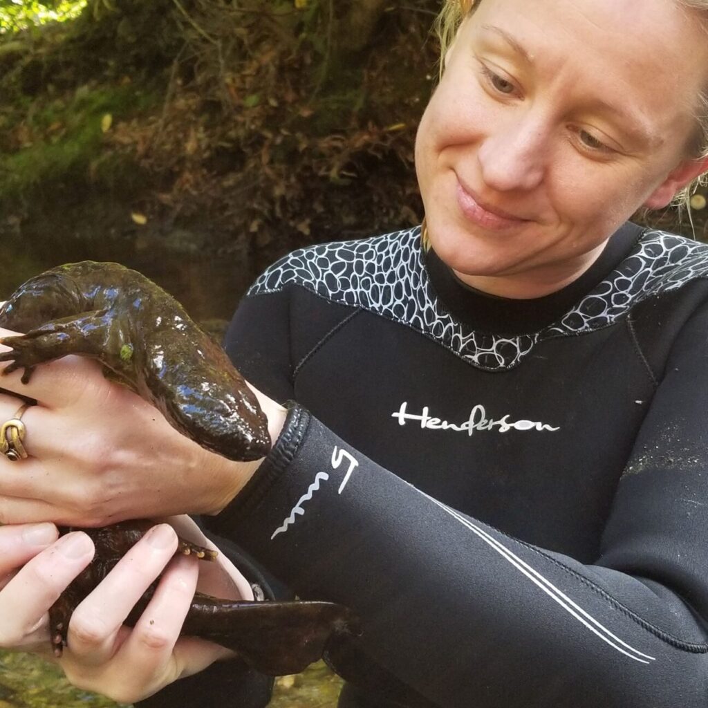%title - Kat Diersen hellbender 1